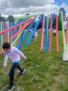 /uploaded_files/media/gallery/1731023119fun run 7.jpg